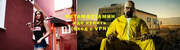 индика Нестеровская