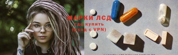 индика Нестеровская