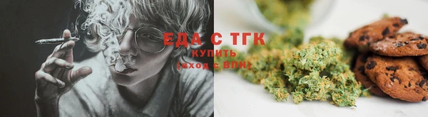 гашик Калининец